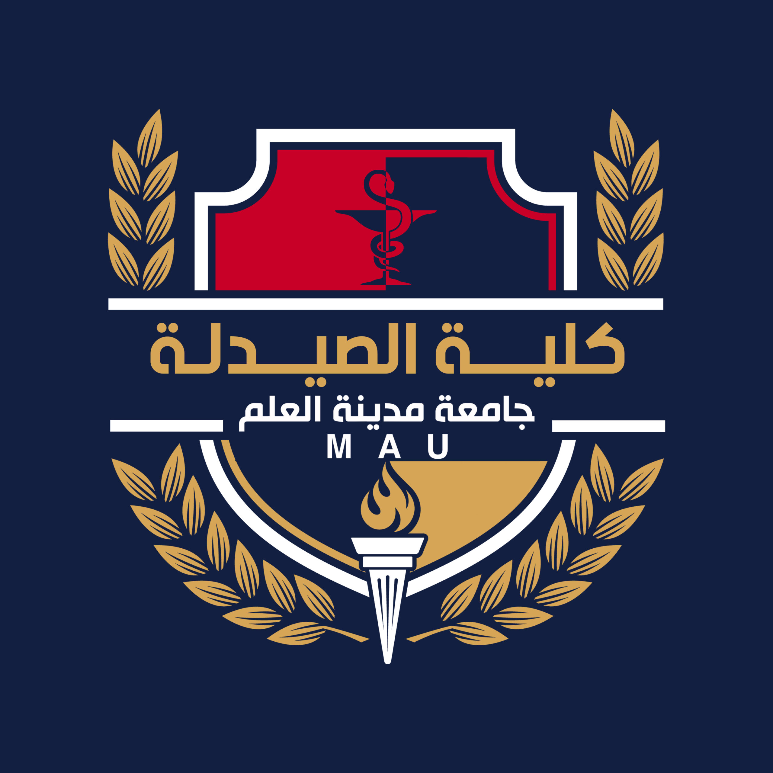 University and College School Crests and Logo Emblem Vector Temp